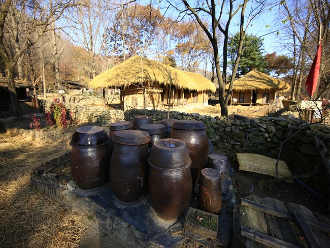 수원화성 및 한국민속촌 투어