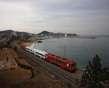 정동진 바다열차&대관령 하늘목장기차여행