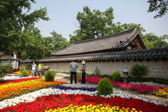 전주여행! (1박2일)-자만벽화마을,전주한옥마을,부안채석강,새만금방조제