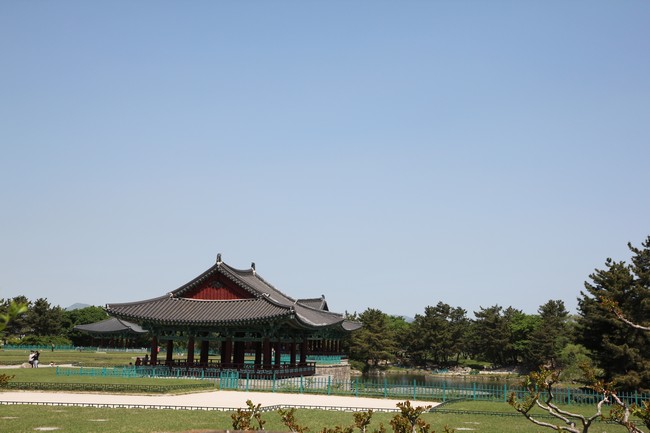 보물과 유적의 산실 경주& 동북아 해양수도 부산 여행! (2박3일)