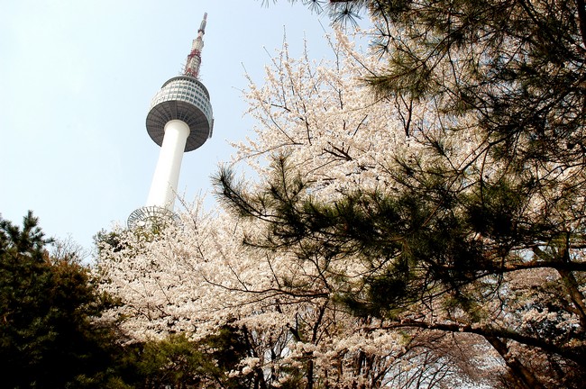 한국동부권여행 ! (4박5일)