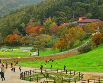 한국동부권여행 ! (4박5일)