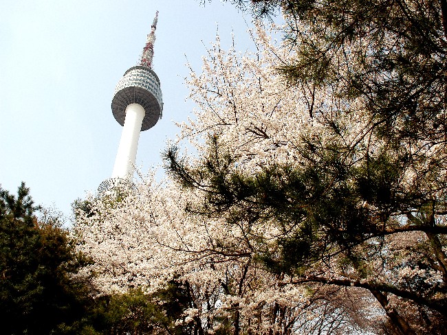 한류투어01-서울여행 삼성딜라이트,창덕궁,남산타워,인사동